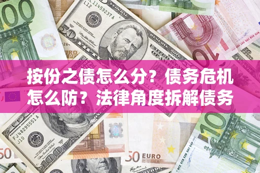 武汉按份之债怎么分？债务危机怎么防？法律角度拆解债务分配与风险自保指南