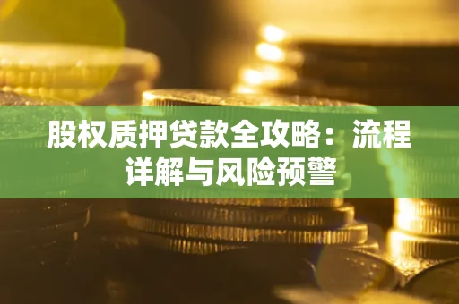 武汉股权质押贷款全攻略：流程详解与风险预警