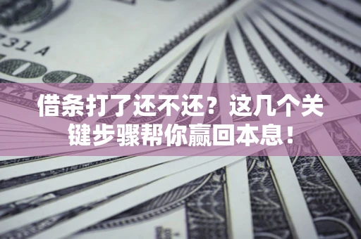 武汉借条打了还不还？这几个关键步骤帮你赢回本息！