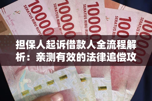 武汉担保人起诉借款人全流程解析：亲测有效的法律追偿攻略