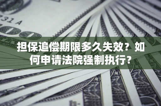 武汉担保追偿期限多久失效？如何申请法院强制执行？