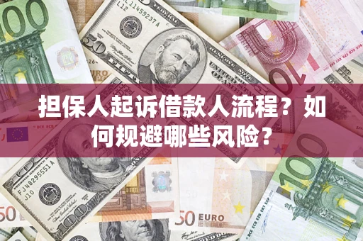 武汉担保人起诉借款人流程？如何规避哪些风险？