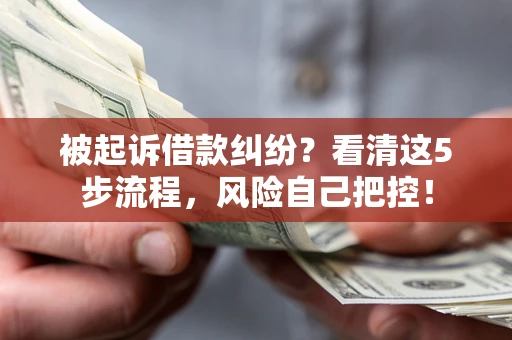武汉被起诉借款纠纷？看清这5步流程，风险自己把控！